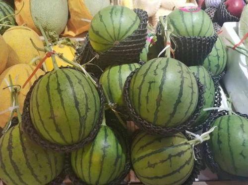 百万网红吃瓜  第3张