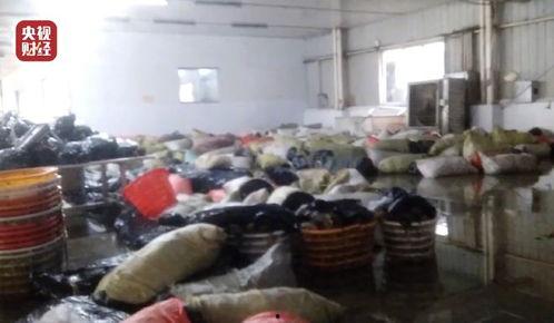 老坛酸菜员工爆料视频,揭秘食品生产内幕  第3张